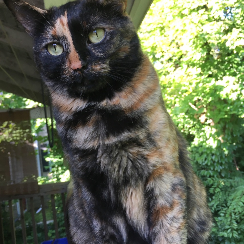 Meet your Posher, Danita